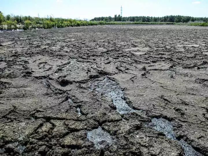 Осадок сточных вод