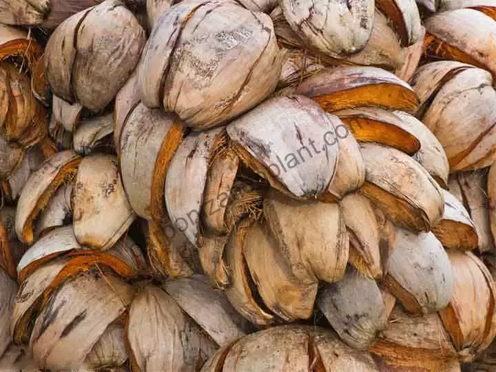 coquilles de noix de coco