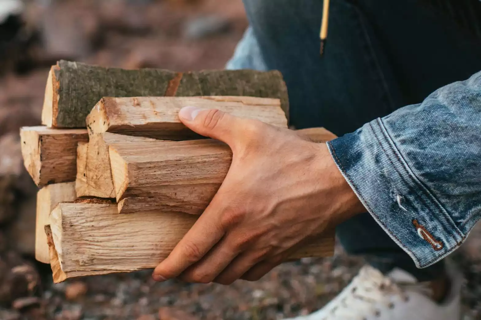 wood logs