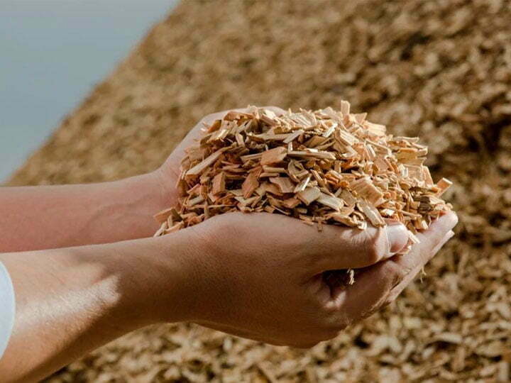 biomass briquette fuel