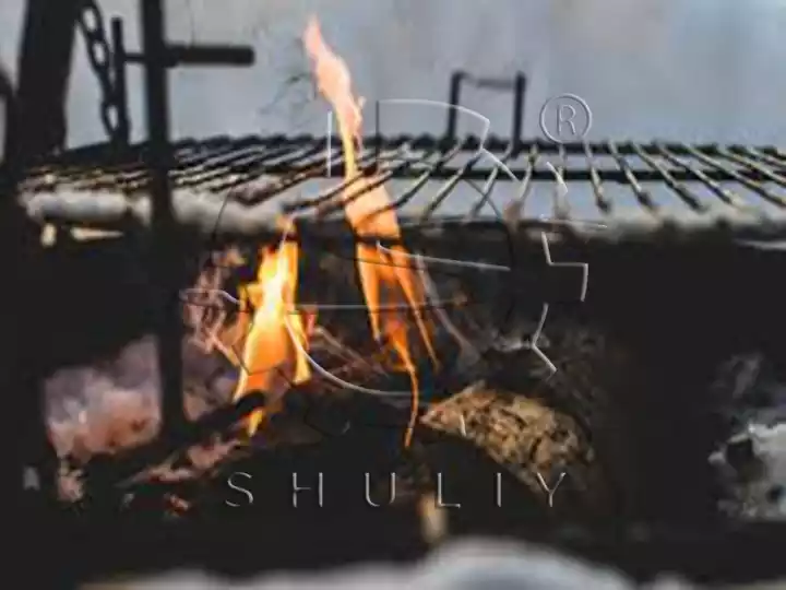 carbón para barbacoa